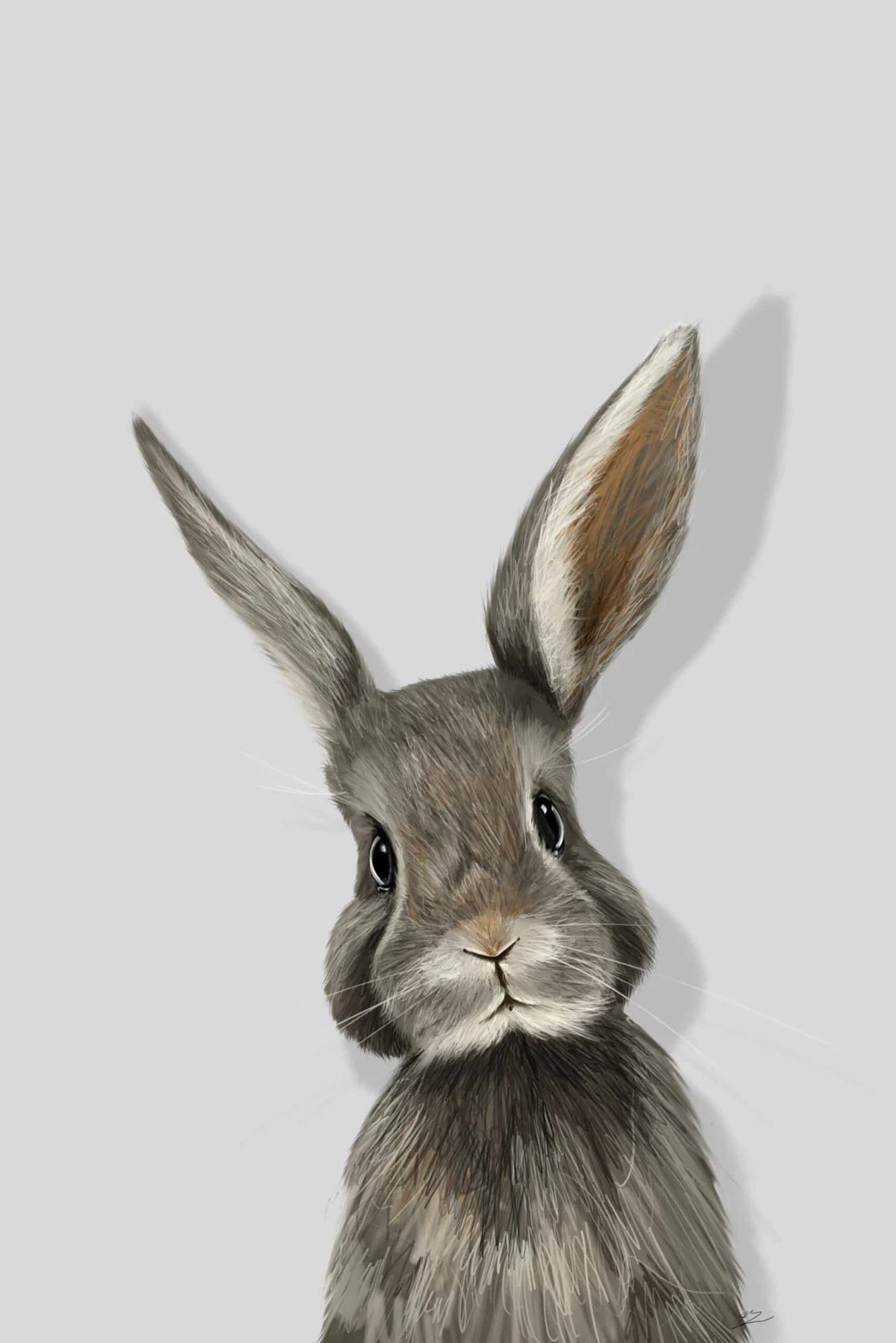 Lapin gris en buste, tête droite, une oreille dressée et l'autre de travers, fond gris clair. Tableau en caisse américaine.