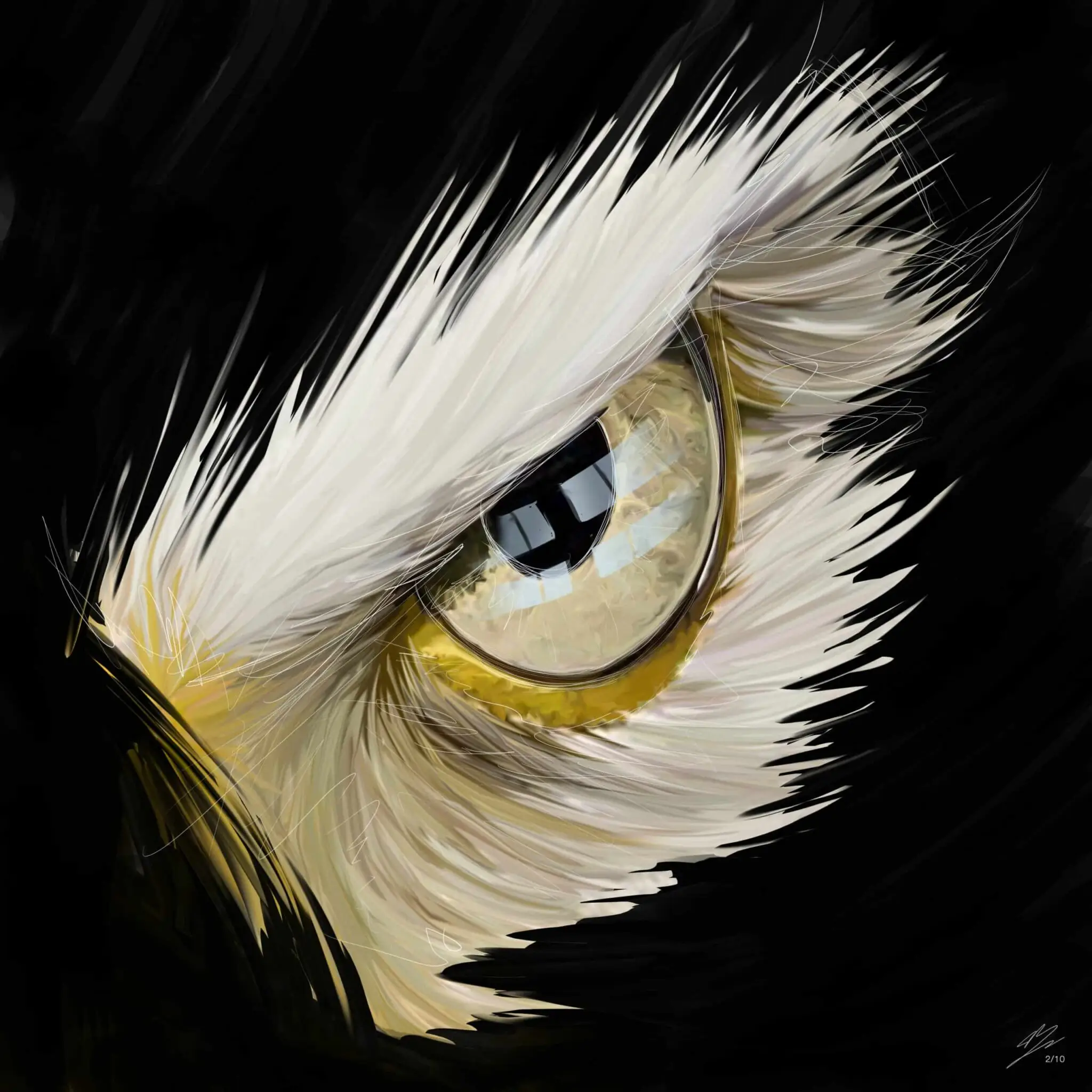 Œil d'aigle au plumage blanc, iris paille cerclé de peau jaune, sourcil de plumes, fond noir. Tableau en caisse américaine.