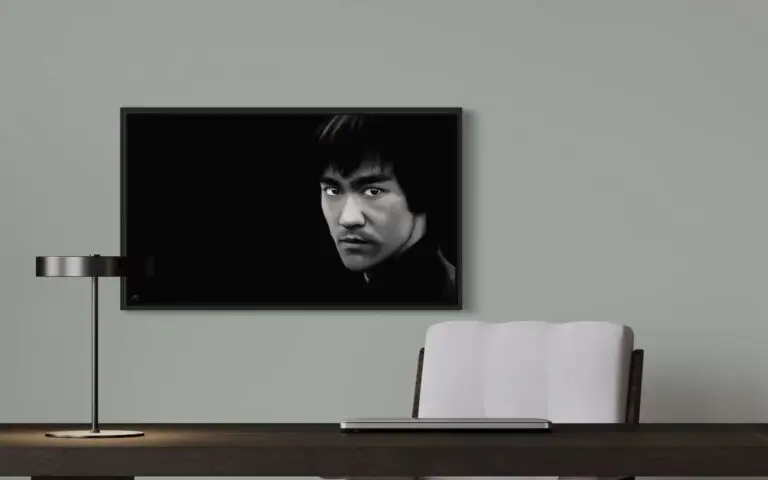 Bruce Lee, vue 1