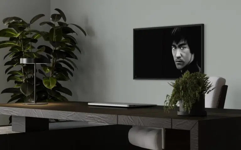 Bruce Lee, vue 2