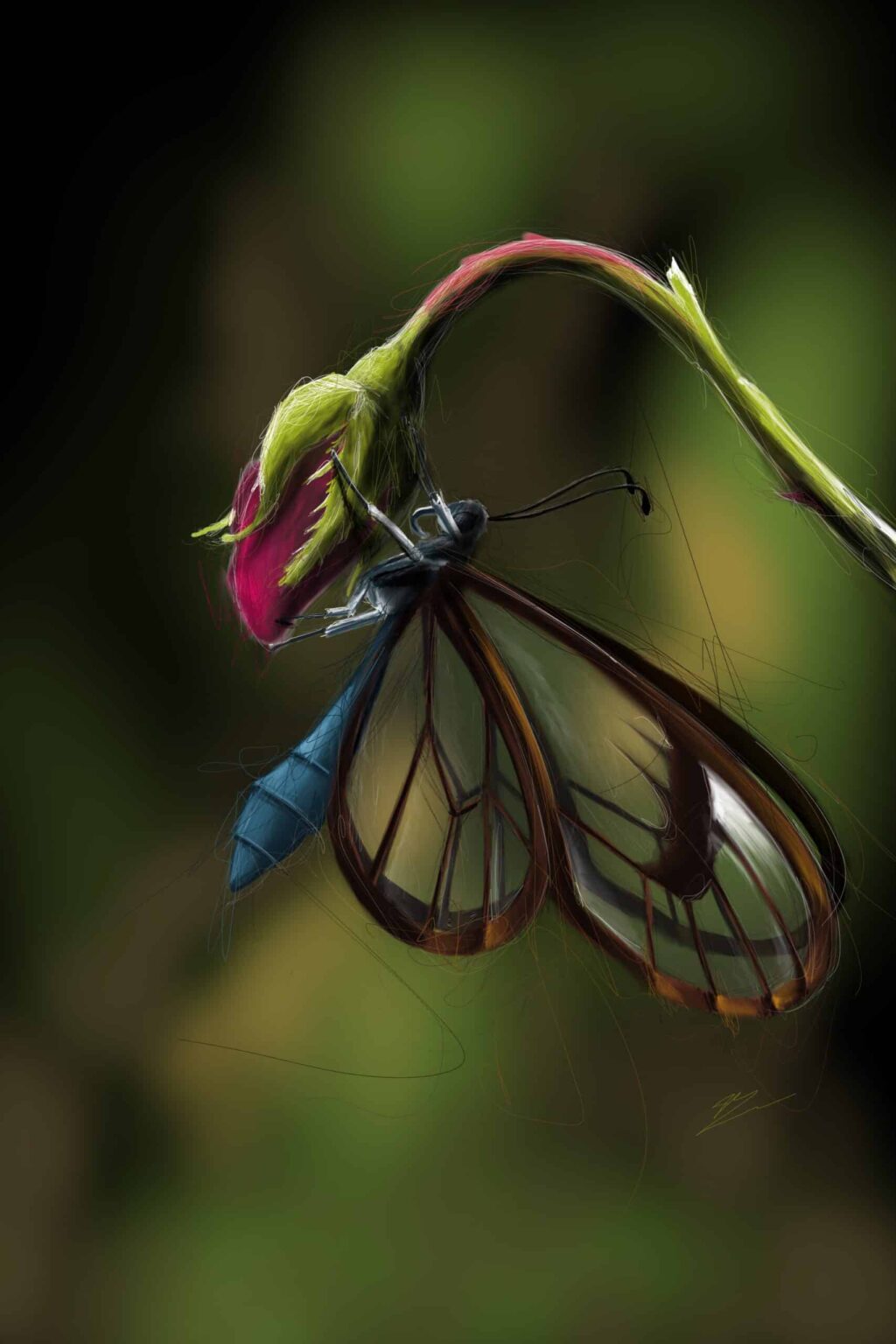Papillon aux ailes transparentes veinées de brun, corps bleu, accroché sous un bouton de rose fuchsia. Tableau en caisse américaine.