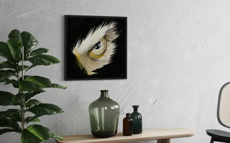 Eye Eagle, vue 1