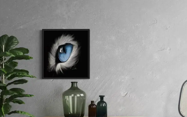 Eye Cat, vue 1