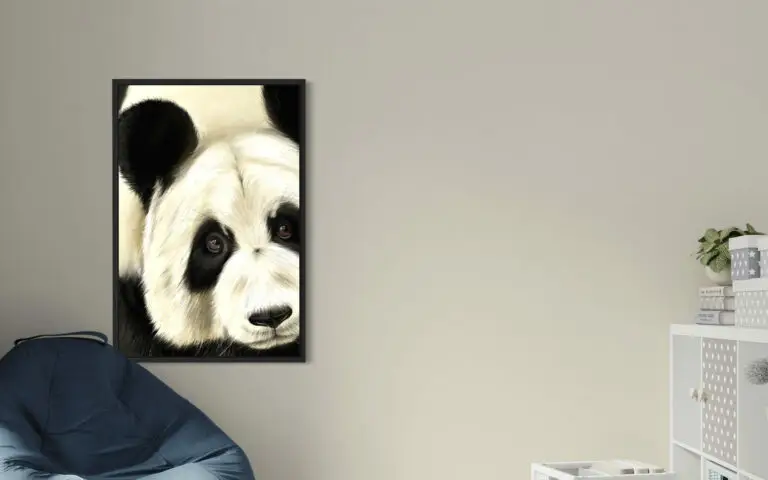 Panda, vue 1
