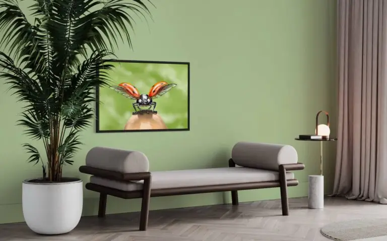 Ladybug, vue 2