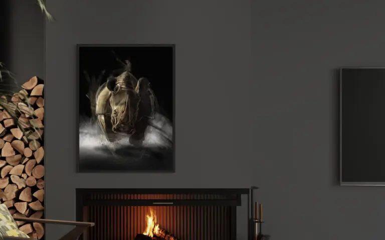 Rhino, vue 1