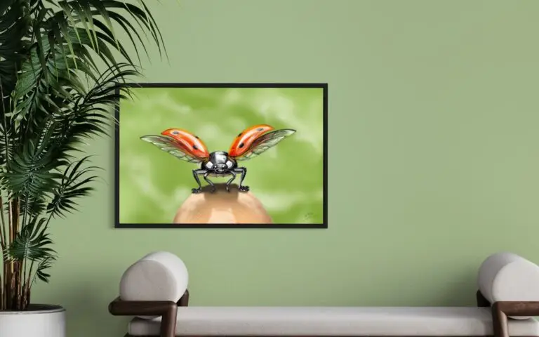 Ladybug, vue 1